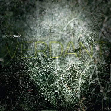 Verdant by David Dunn - album cover