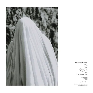 Veil