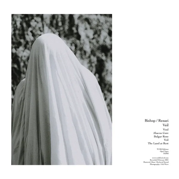Veil