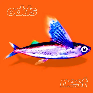 Nest