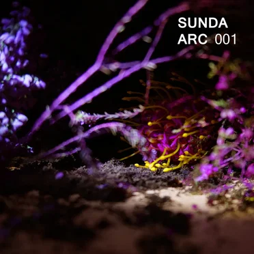 Sunda Arc 001 by Sunda Arc - album cover