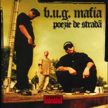 Poezie de stradă