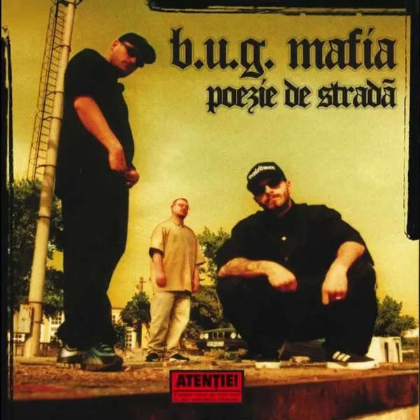 Poezie de stradă