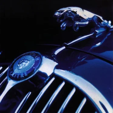 Dig the Nu Breed by Various Artists - album cover