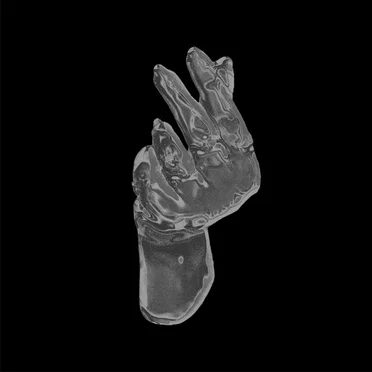 Wiviu by Milena Patagônia - album cover