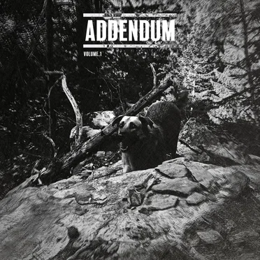 Addendum vol.1 by EEST - album cover
