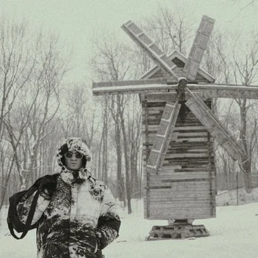 Богородские Голуби