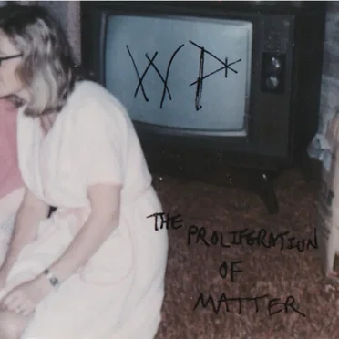 The Proliferation of Matter