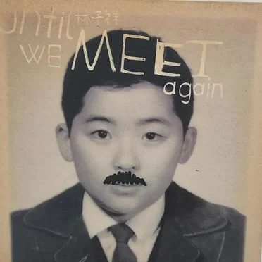 Until We Meet Again by Various Artists - album cover