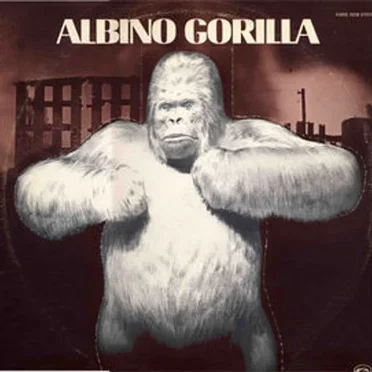 Albino Gorilla