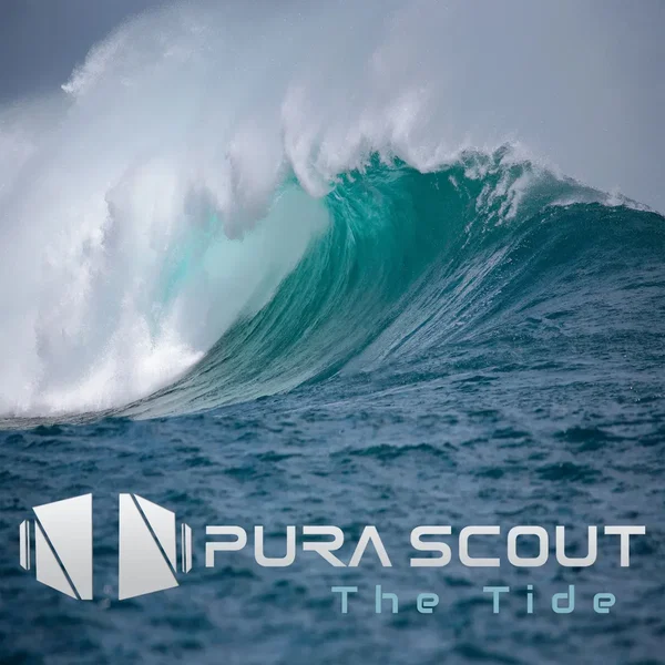 The Tide