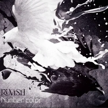 Number Color