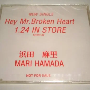 Hey Mr. Broken Heart