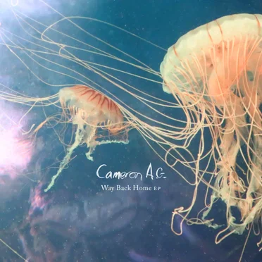 Way Back Home by Cameron AG - album cover