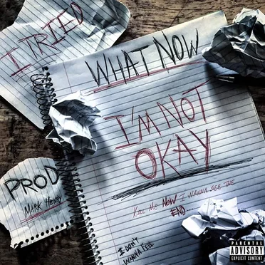 What Now by FRYENATION - album cover