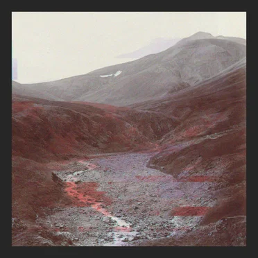 This is not a drone by W Lambert - album cover