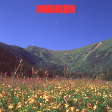 Daydreaming by Paerish - album cover