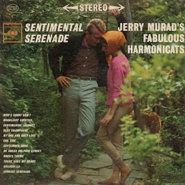 Sentimental Serenade