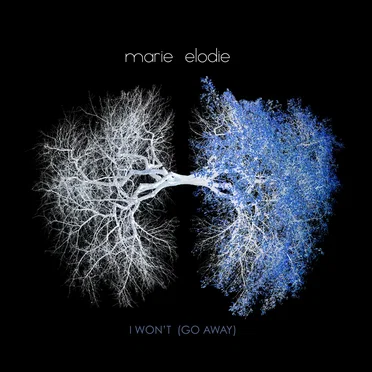 I Won’t (Go Away) by Marie Elodie - album cover