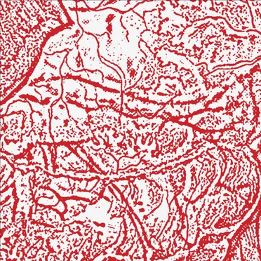 Materializing Defective Fascia