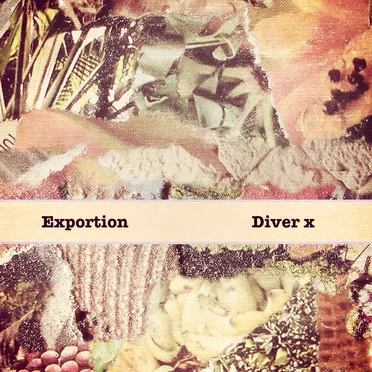 Diver X