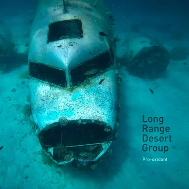 Pro-oxidant by Long Range Desert Group - album cover