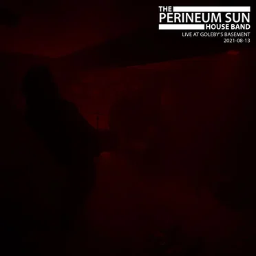 Live at Goleby's Basement 2021-08-13 by The Perineum Sun House Band - album cover