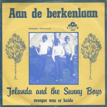 Aan de Berkenlaan / Vroeger was er heide