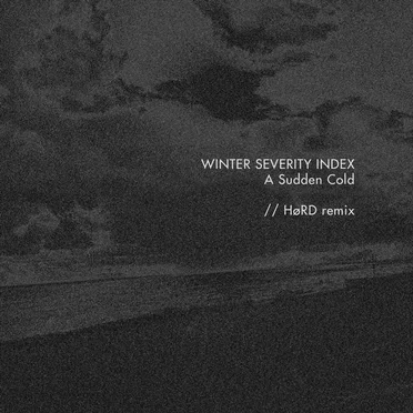 A Sudden Cold (HøRD remix) by Winter Severity Index - album cover