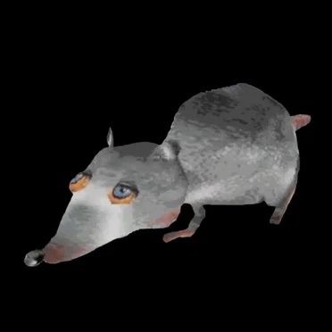 Rats Birthday Mixtape by Yums - album cover