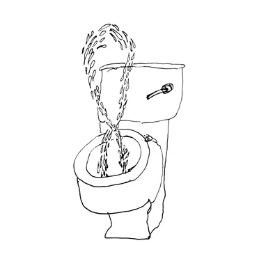 Calamity Toilet