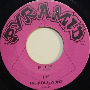 If I Cry / Please by The Fabulous Wunz - album cover