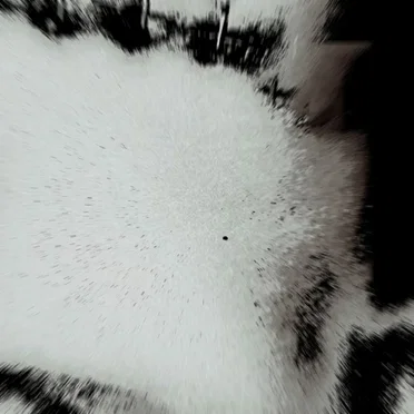 PleaseDontBuryOurFuture