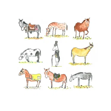A Formal Horse