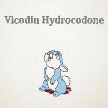 Vicodin Hydrocodone by メディカル - album cover