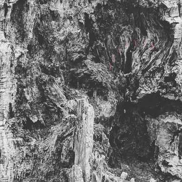 MARBLED BARK