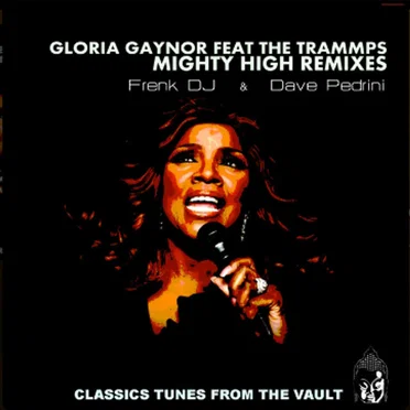 Mighty High (Frenk DJ & Dave Pedrini remix)