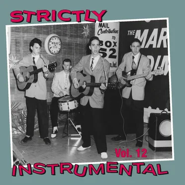 Strictly Instrumental, Vol. 12 by Various Artists - album cover