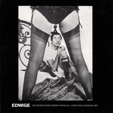 The Inconsolable Widow Thanks All Those Who Consoled Her by Edwige - album cover