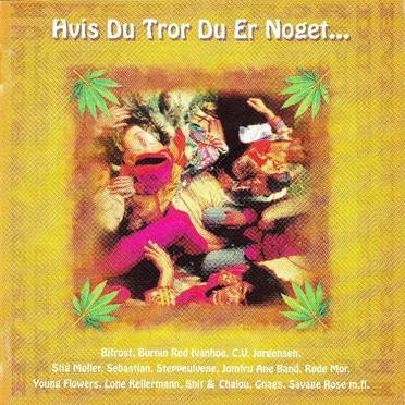 Hvis du tror du er noget by Various Artists - album cover