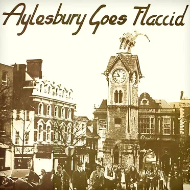 Aylesbury Goes Flaccid by Various Artists - album cover
