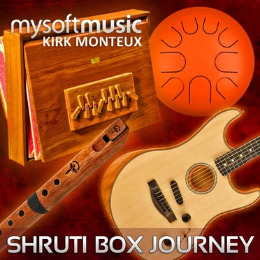 Shruti Box Journey