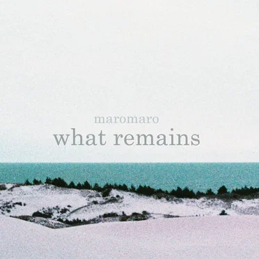 what remains