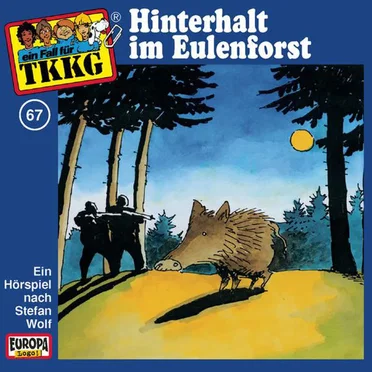 TKKG 67: Hinterhalt im Eulenforst by Stefan Wolf - album cover
