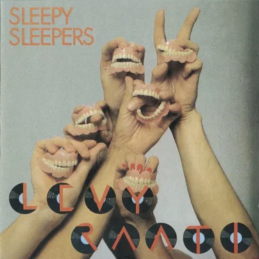 Levyraati by Sleepy Sleepers - album cover