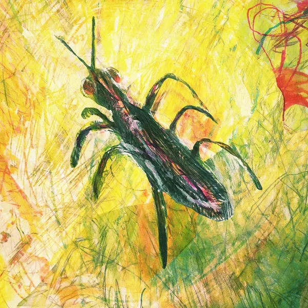 Bug