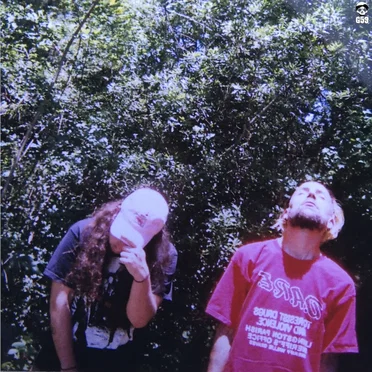 High Tide in the Snake's Nest by $uicideboy$ - album cover