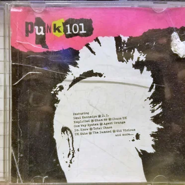 Punk 101 by Various Artists - album cover