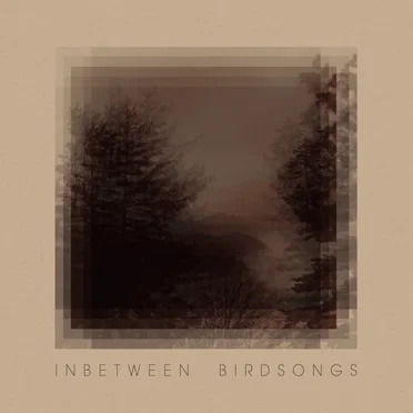 Inbetween Birdsongs by Matthias Gusset - album cover