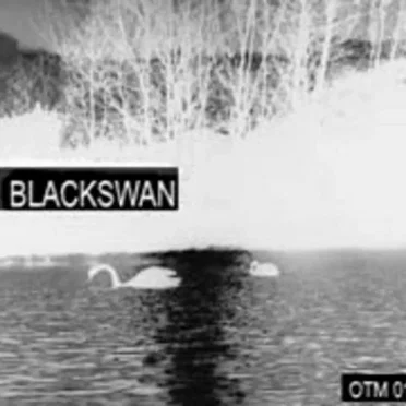BlackSwan